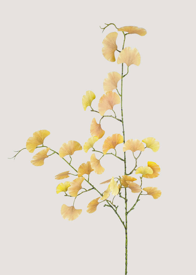 Artificial Ginkgo Leaf Stem Main Image with Realistic Faux Leaves