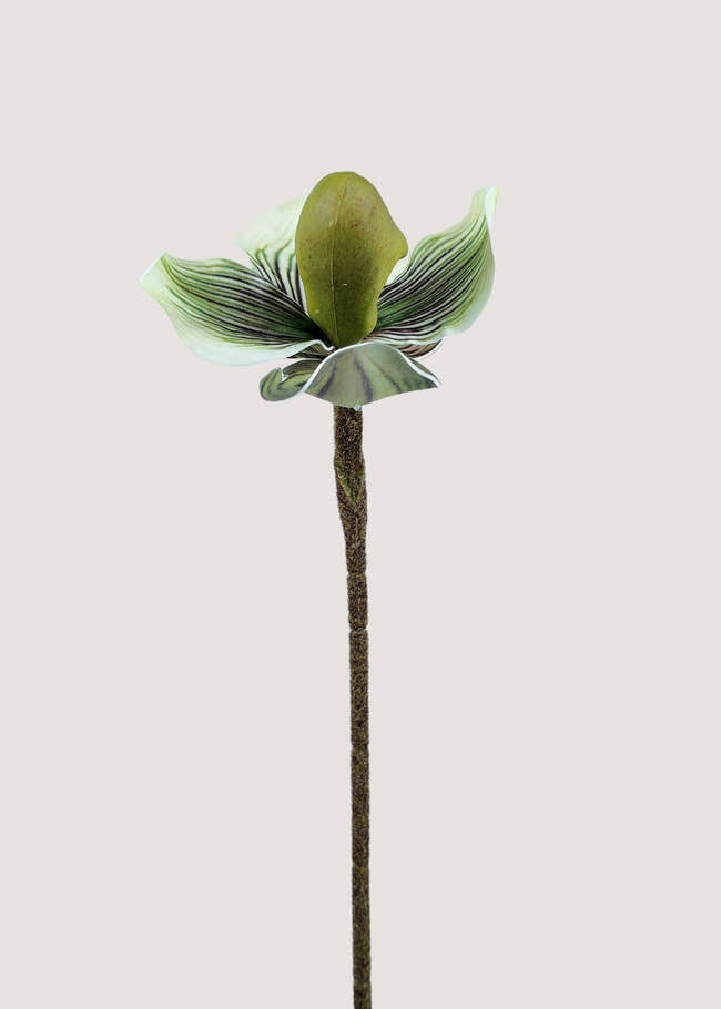 artificial-green-paphiopedilum-orchid-main