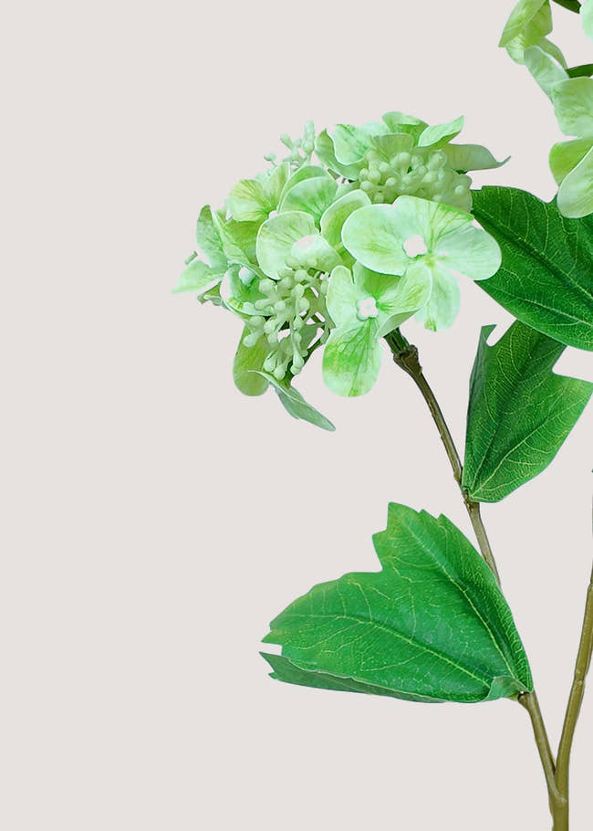 Close-up of Light Green Artificial Hydrangea Petals and Leaves