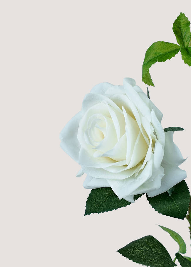 Close-up of Artificial White Rose Stem Petals and Realistic Texture