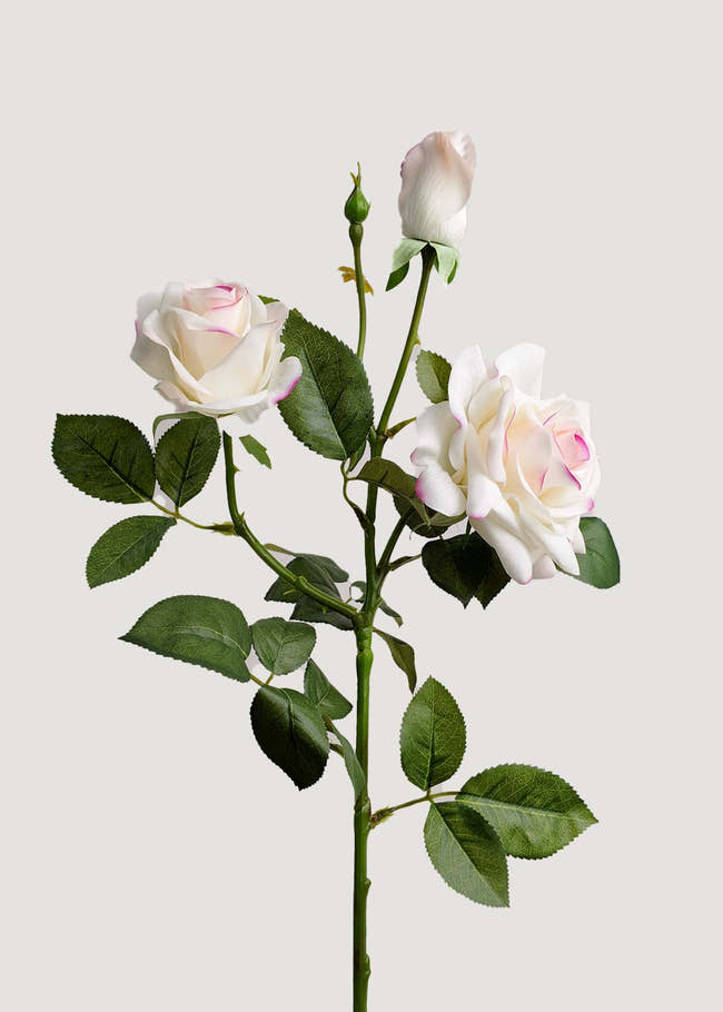 Cream white artificial rose stem with blush pink tips realistic faux flower