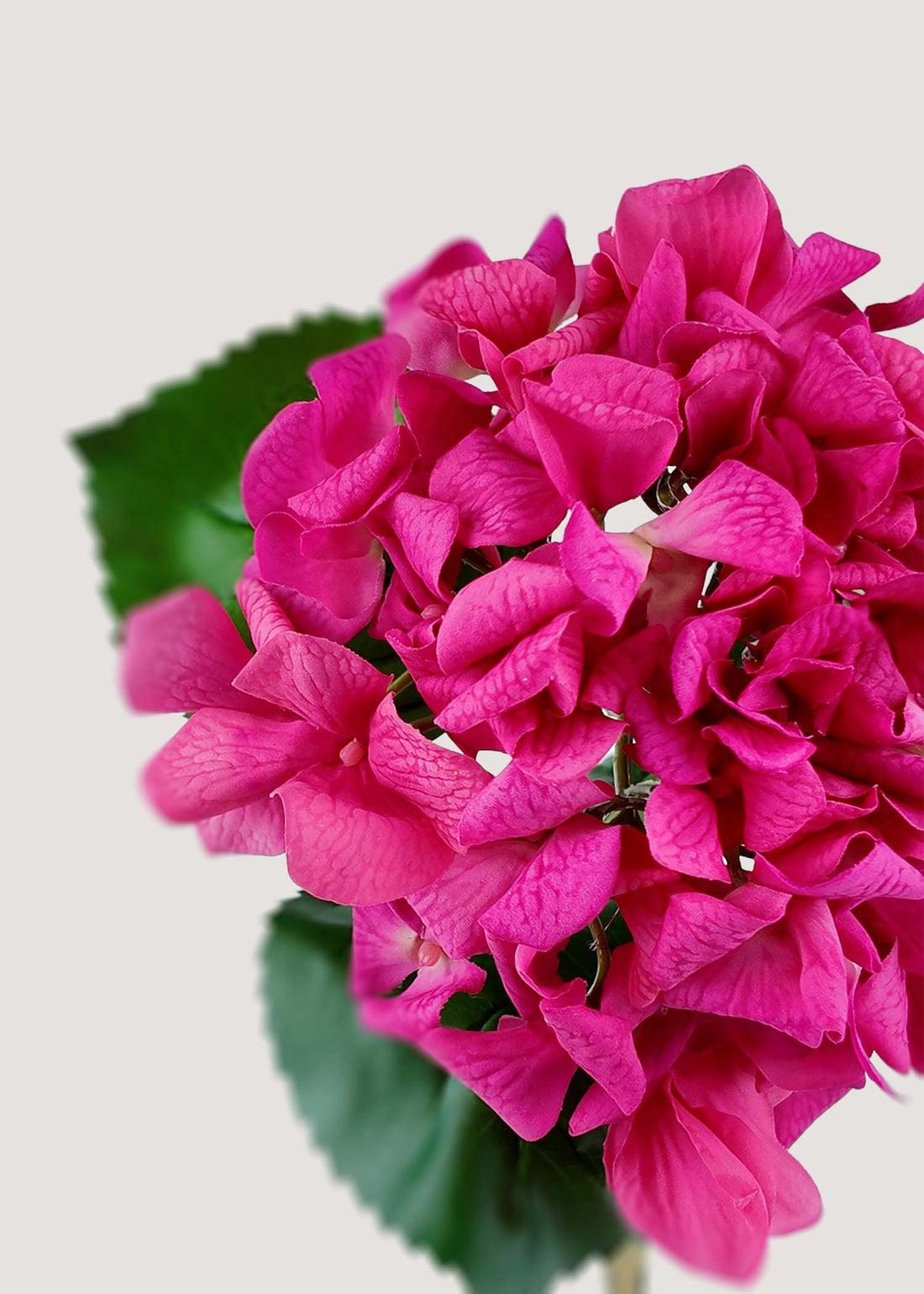 Close-up detail of pink artificial hydrangea petals and root stem showing realistic texture.