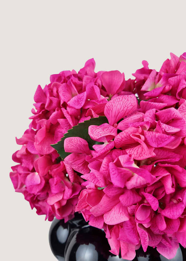 Close-up of realistic hot pink silk hydrangea petals