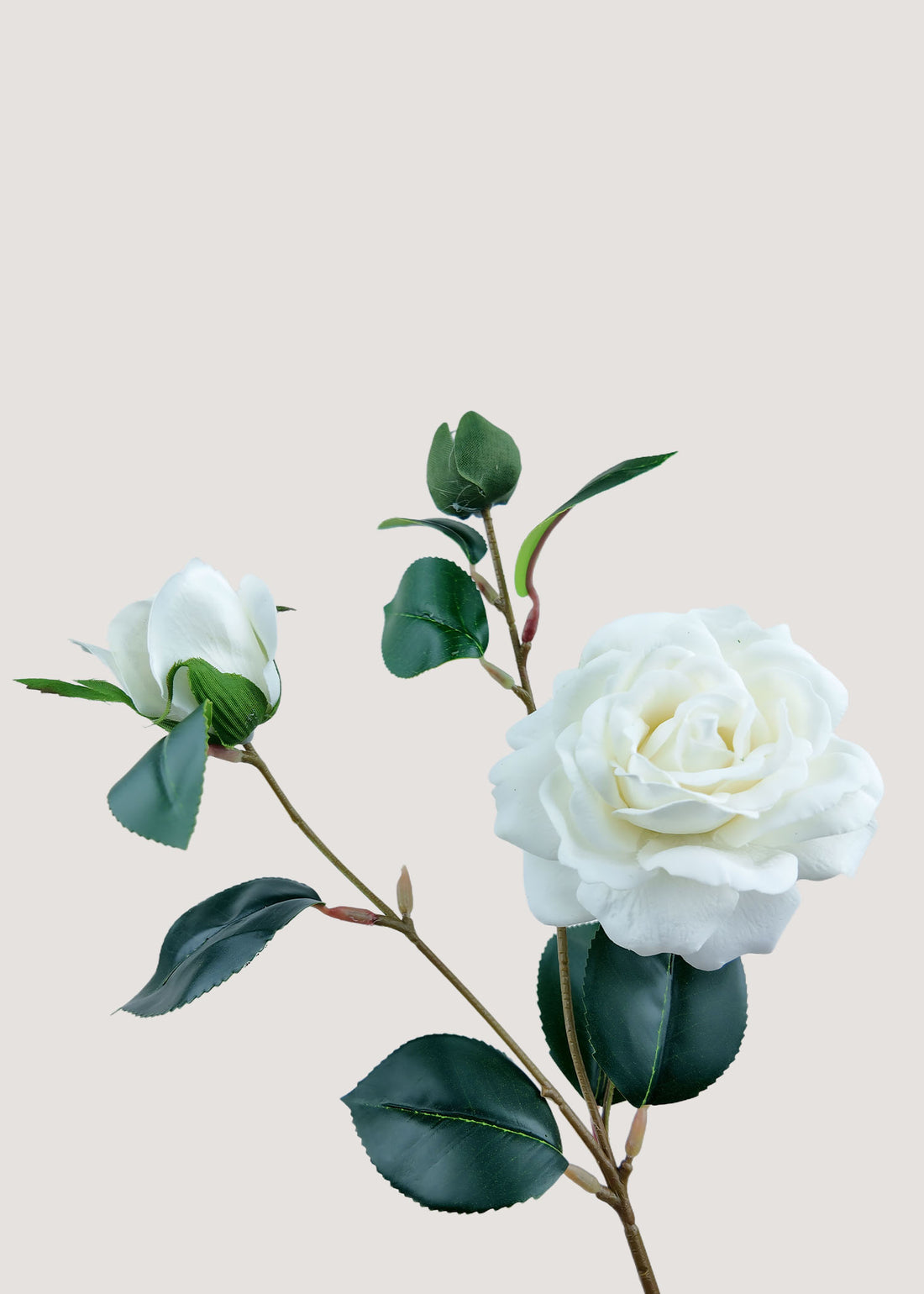 Close-up detail of silk camellia petals in white with natural texture