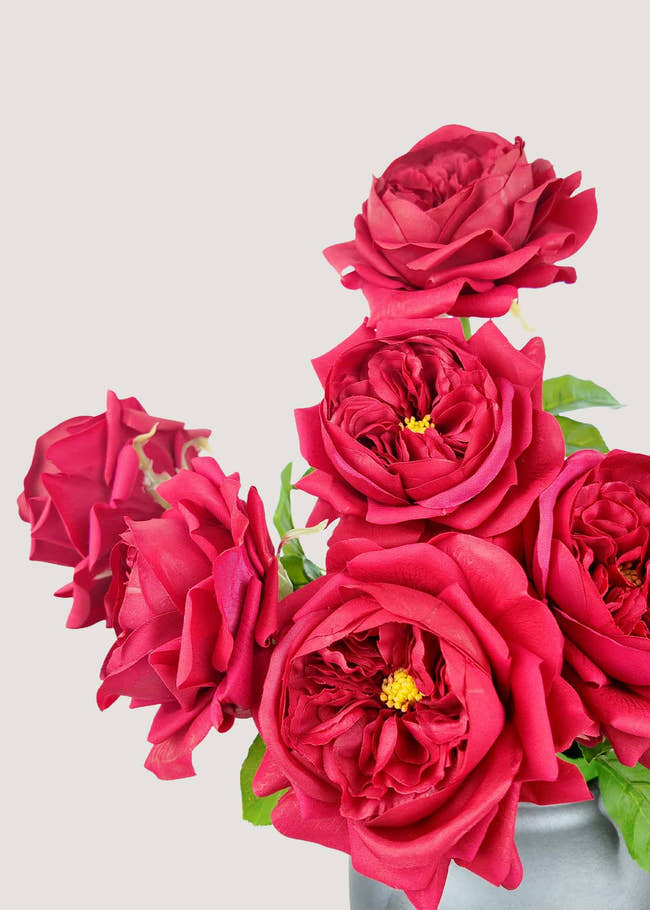 Close-up of realistic deep red silk David Austin rose petals