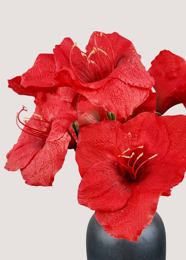 Close-up of realistic silk red amaryllis flower petals
