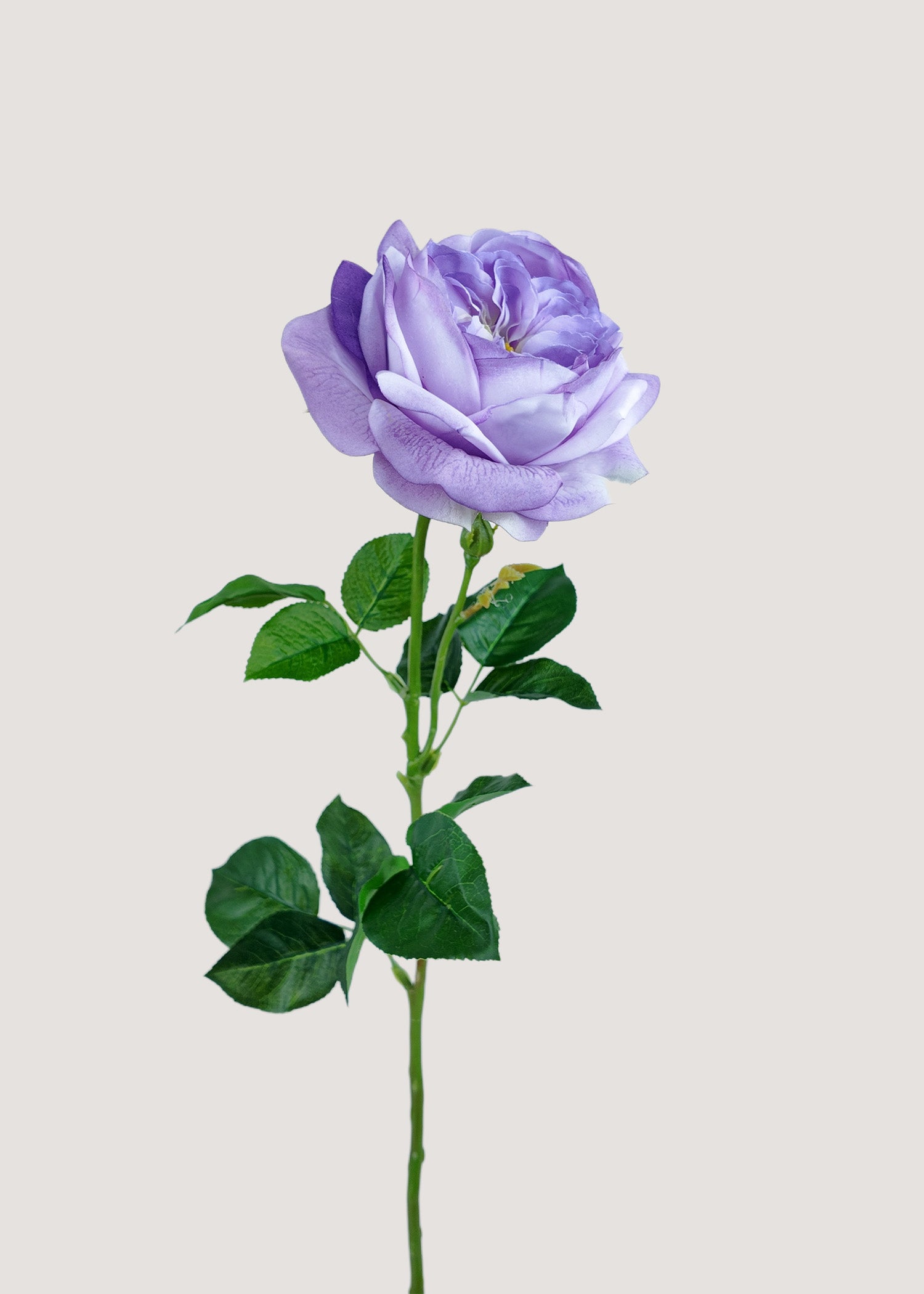 Lavender artificial rose stem with realistic petals and green leaves