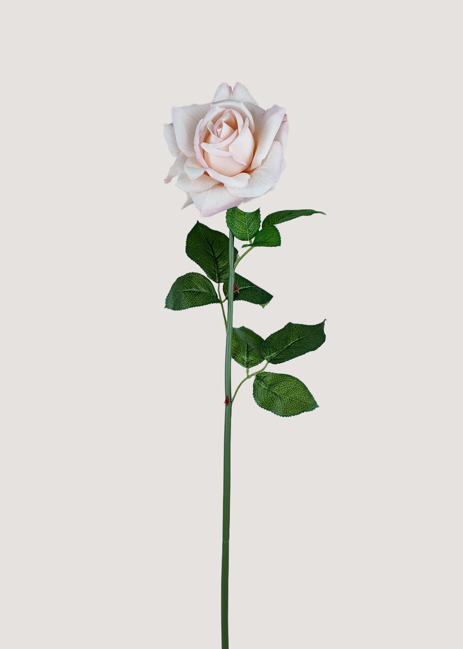 Main product image of long stem artificial cream pink rose for vases and wedding bouquets