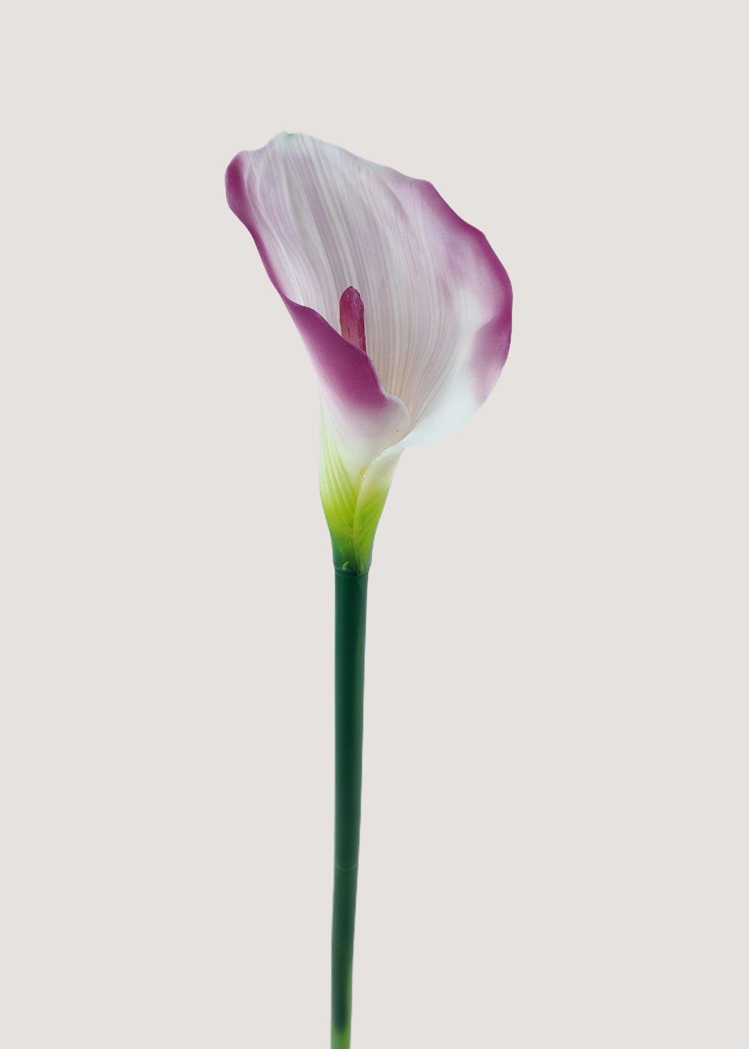 Purple and white gradient artificial Calla Lily stem main view