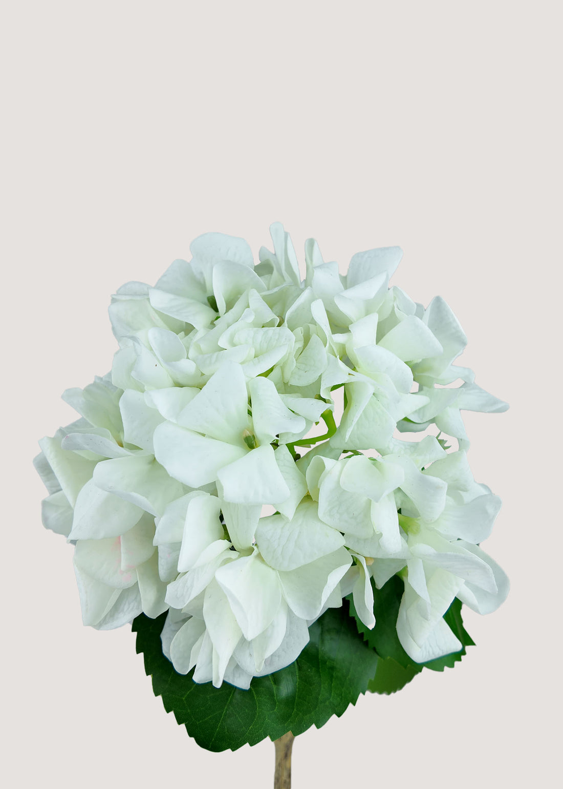 Close-up of real touch white artificial hydrangea petals