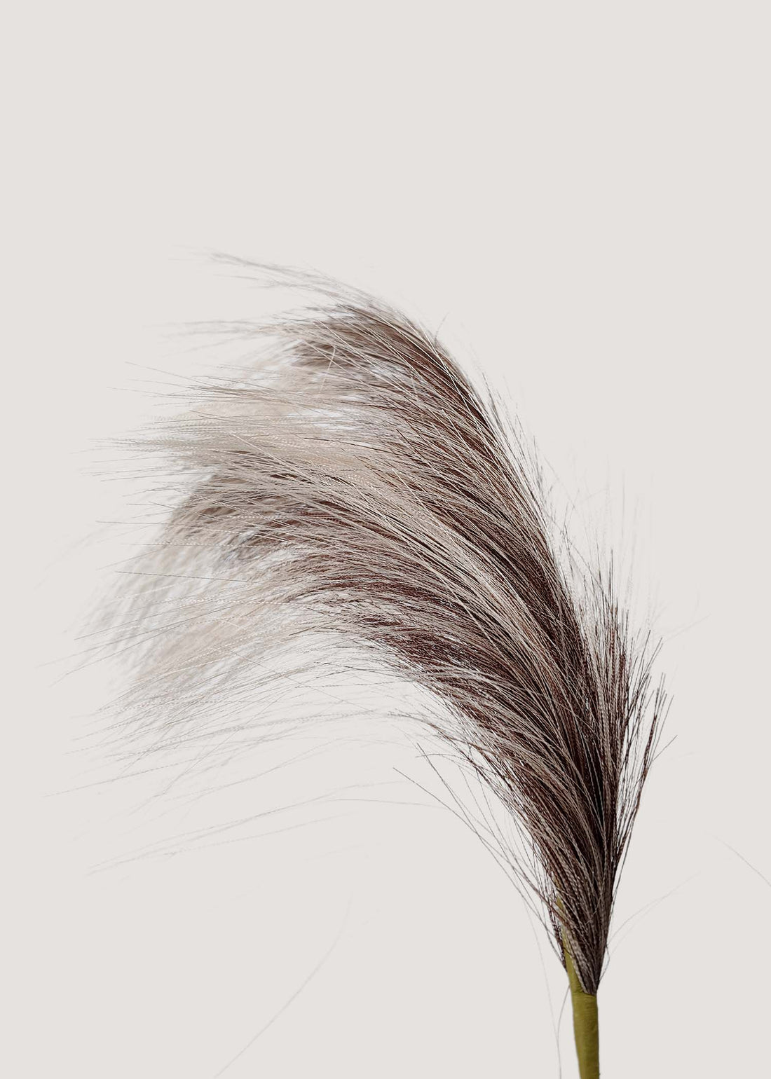 Close-up detail of realistic faux reed grass plume with natural texture