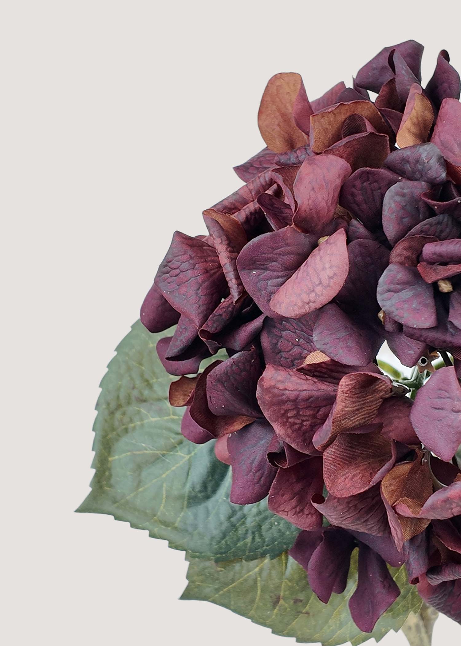 Close-up of Vintage Wine Brown Artificial Hydrangea Petals and Texture