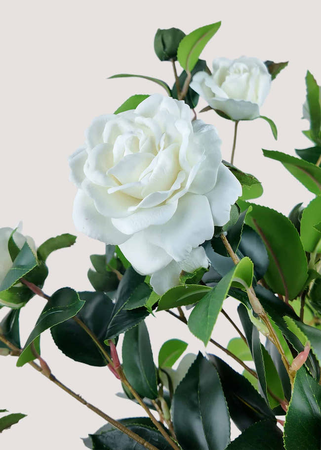 Close-up of artificial camellia blooms and real touch petals