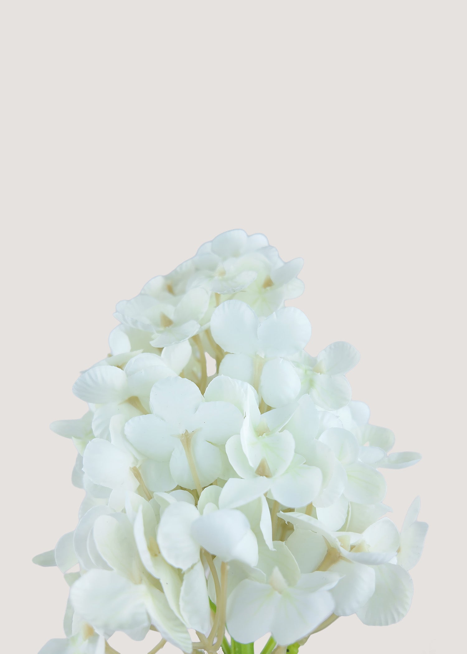 White artificial hydrangea paniculata stem with lifelike clustered blooms by Everblooma