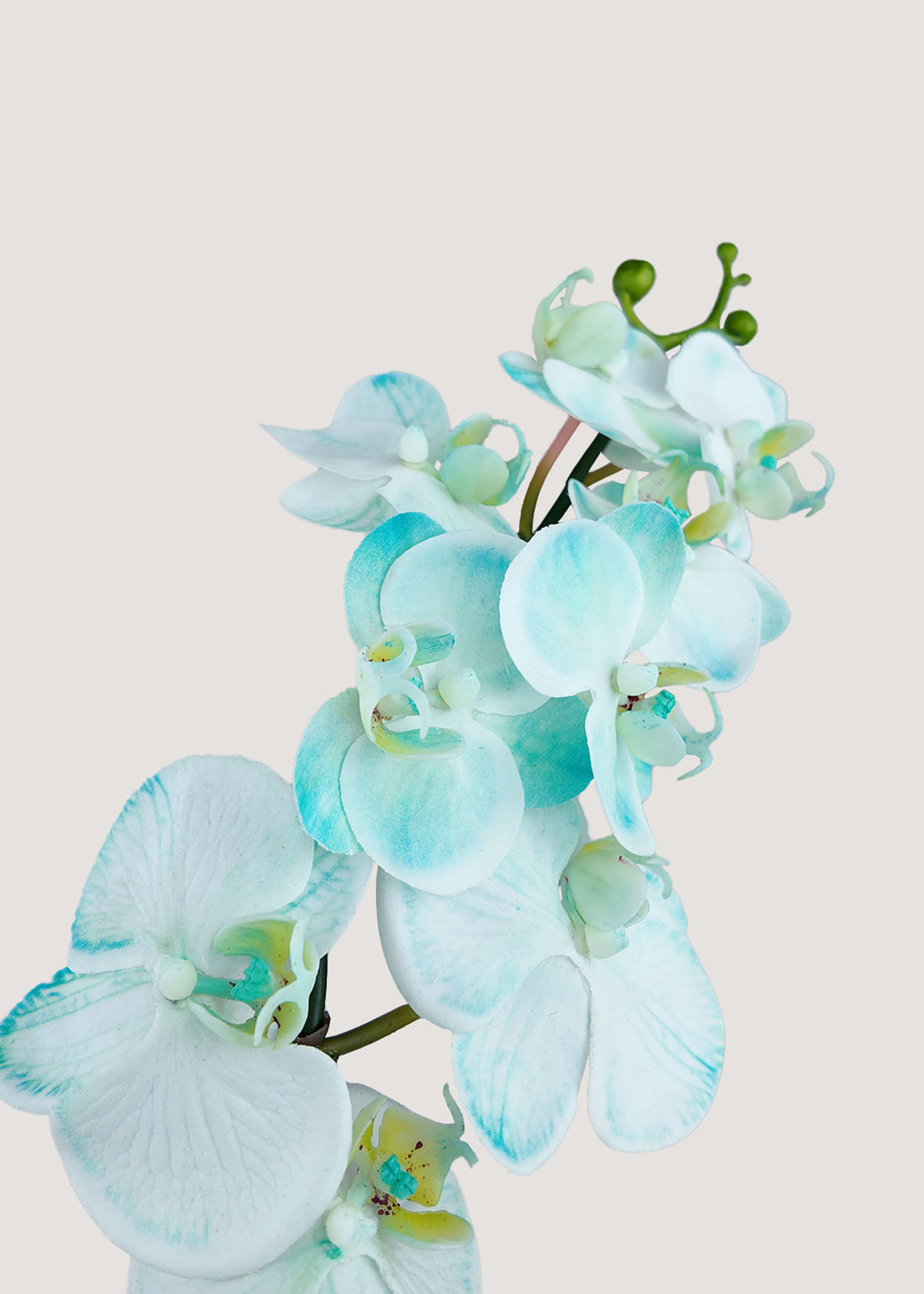 White green artificial orchid stem realistic faux phalaenopsis flower for home decor