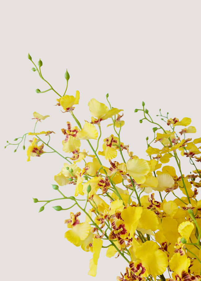 Closeup of lifelike faux yellow orchid flowers with real touch petals