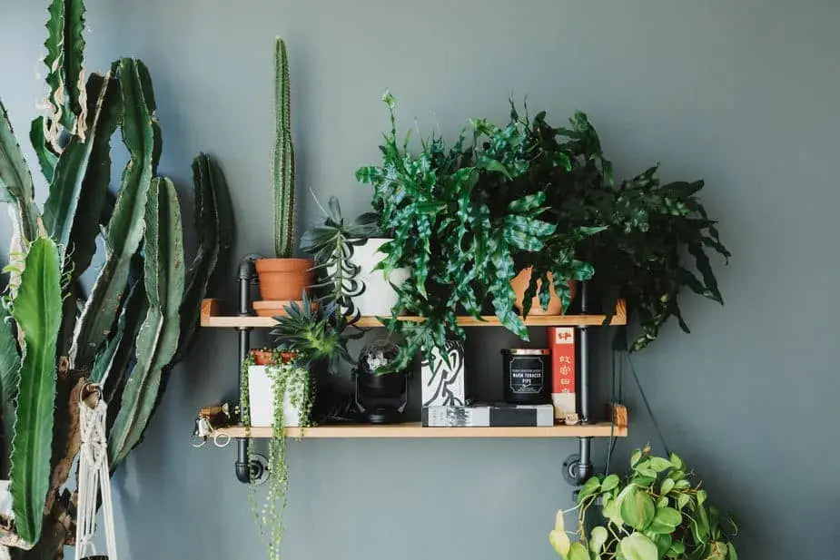 Artificial Plants