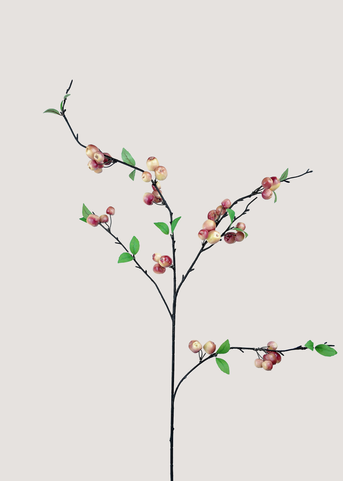 Artificial apple branch with ripe red-yellow fruits and green leaves main image