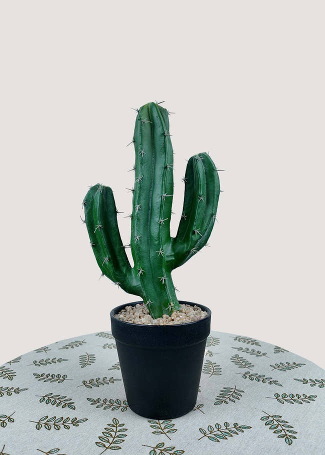 Artificial cactus potted plant in black pot for home and office décor
