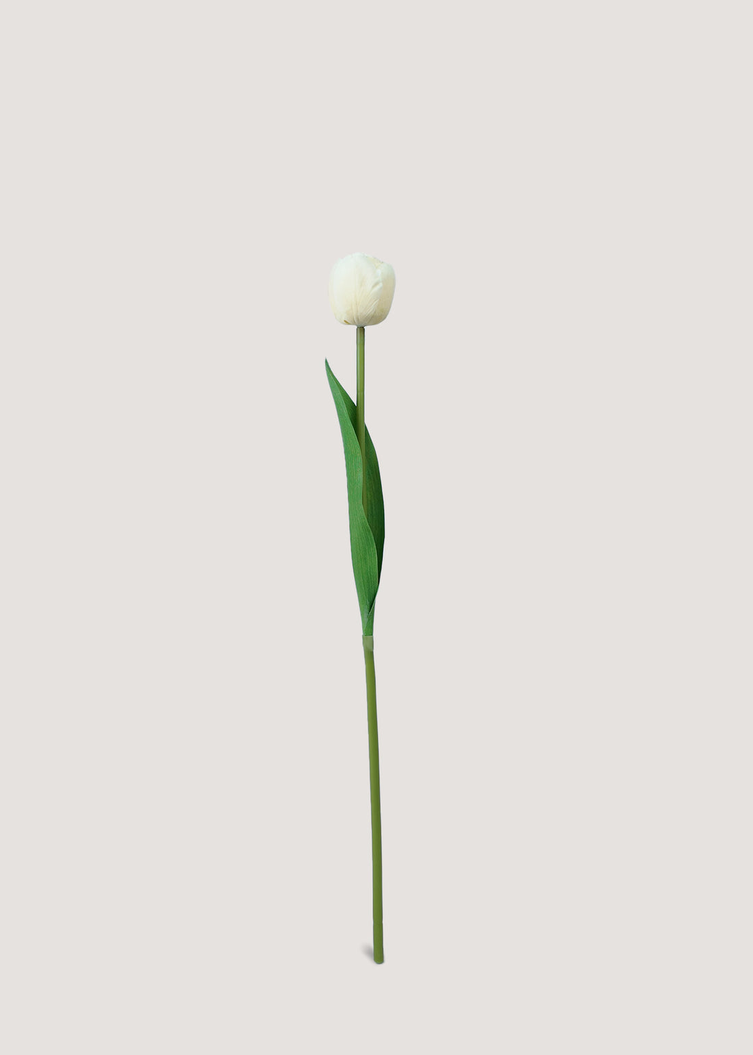 Main image of artificial champagne white tulip flower stem with pale yellow tint