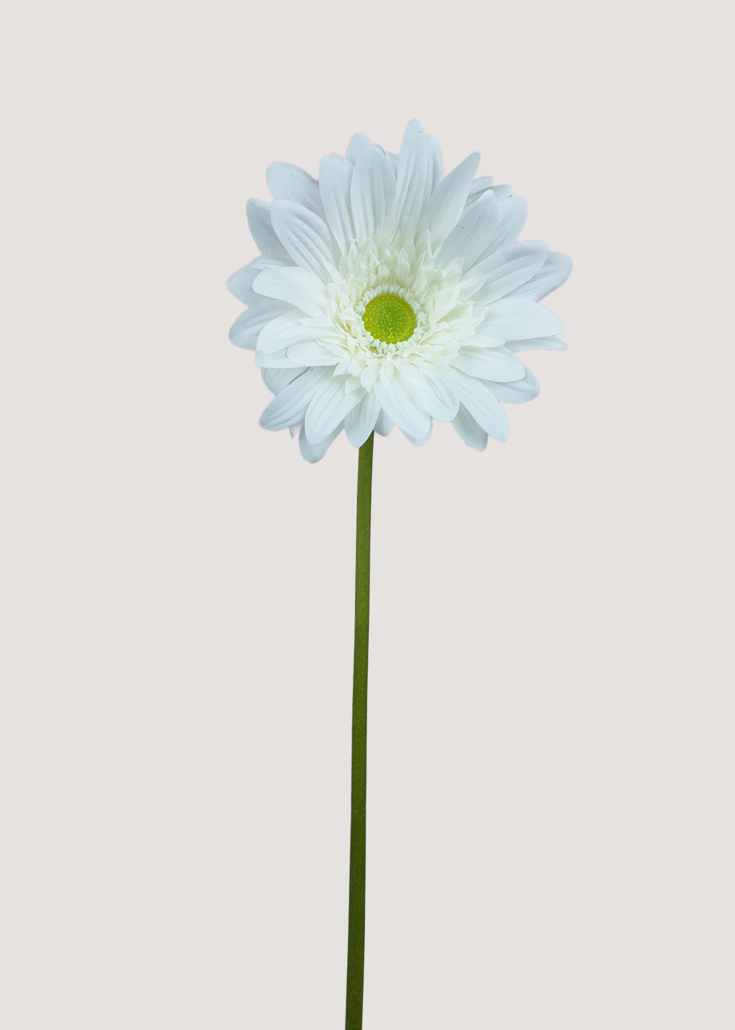 White Artificial Gerbera Daisy Stem – Realistic Faux African Daisy Main View