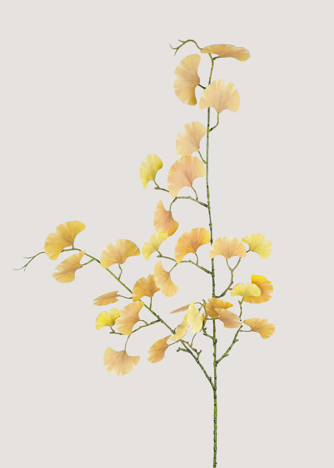 Artificial Ginkgo Leaf Stem Main Image with Realistic Faux Leaves