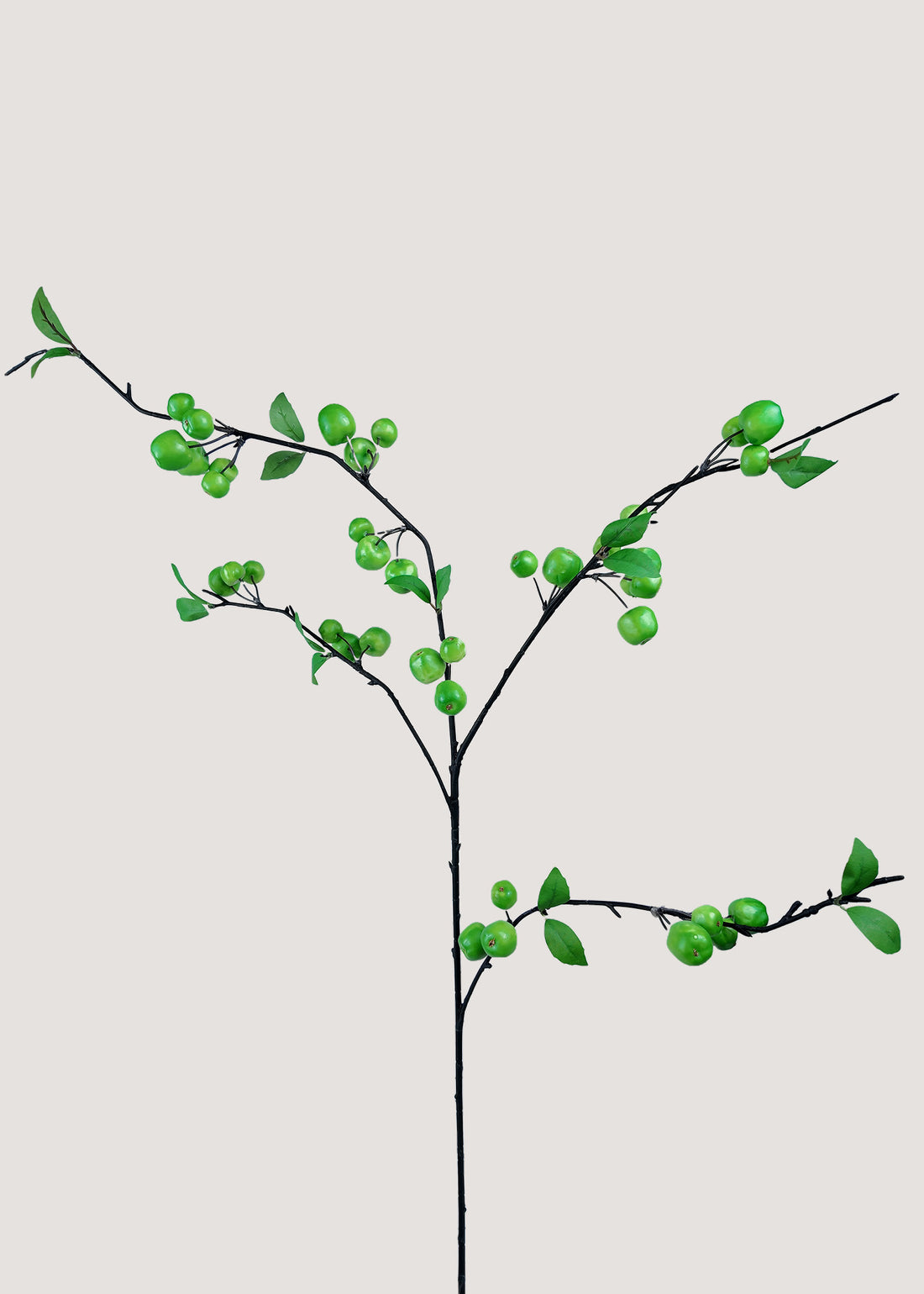 Artificial green apple branch with unripe fruits and green leaves main image