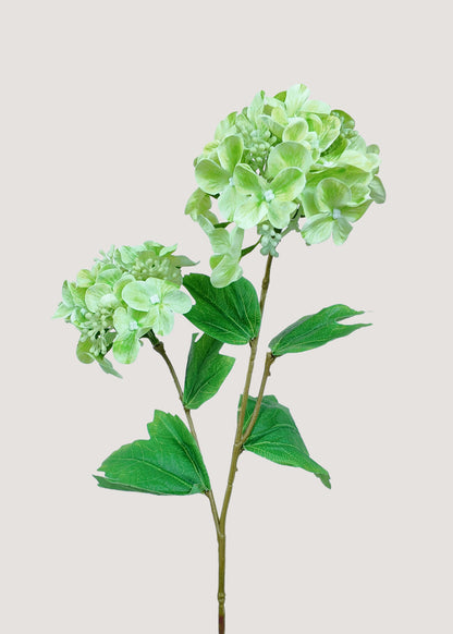 Light Green Artificial Hydrangea Stem – Realistic Faux Flower Main View