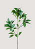 Artificial Pieris japonica leaf spray in lush green main image