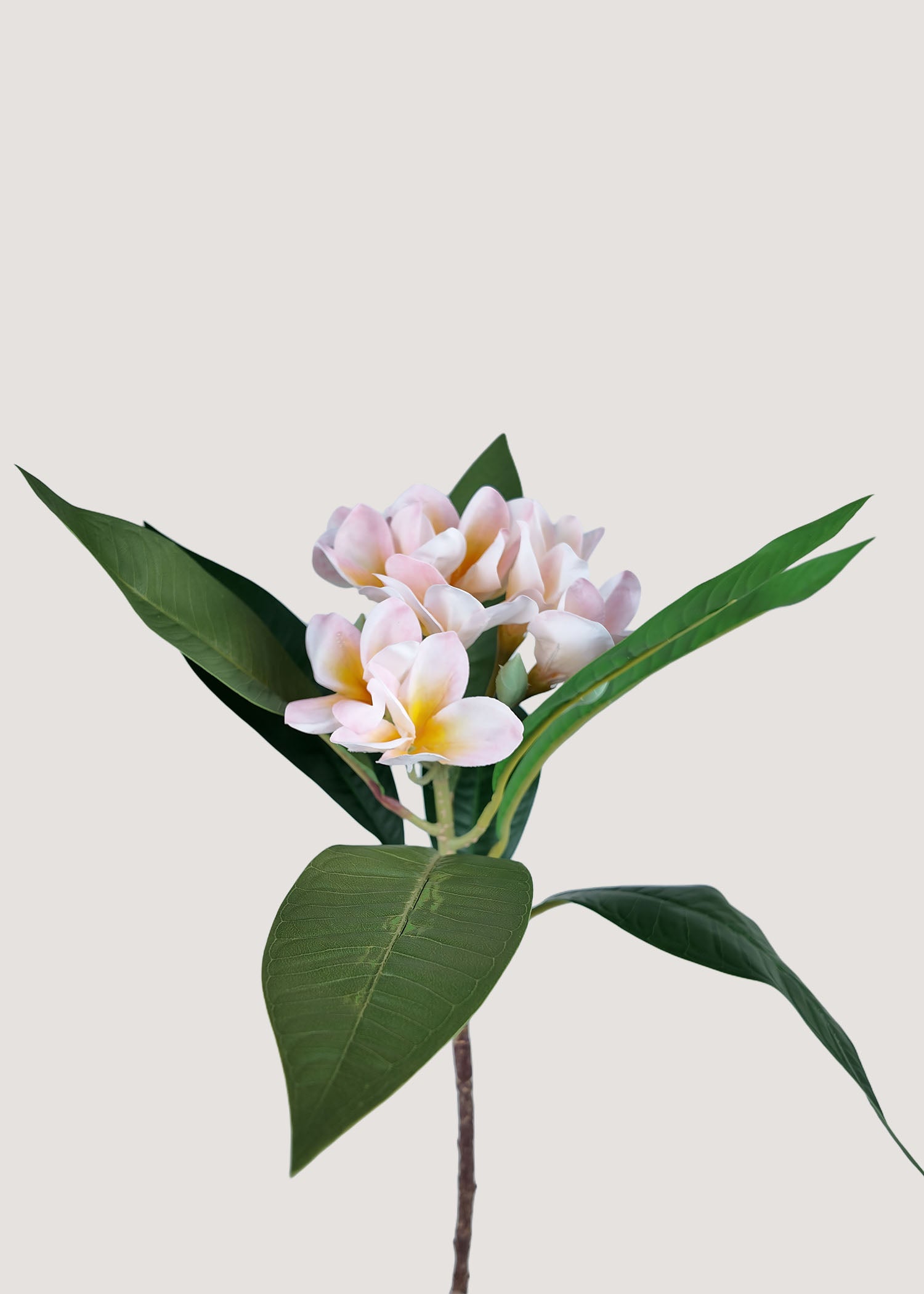 Artificial plumeria stem with pink-white petals and yellow centers main image