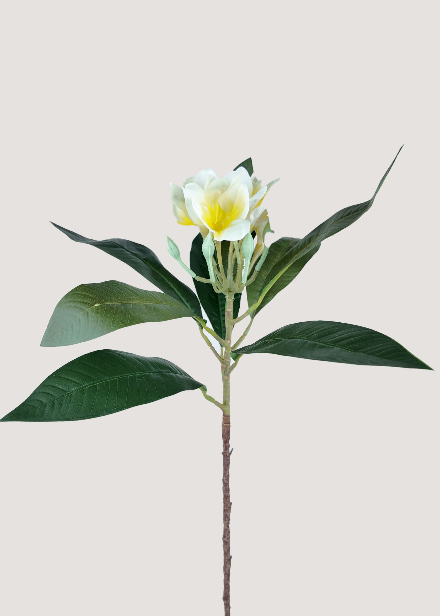 Artificial plumeria stem with white petals and yellow centers main image