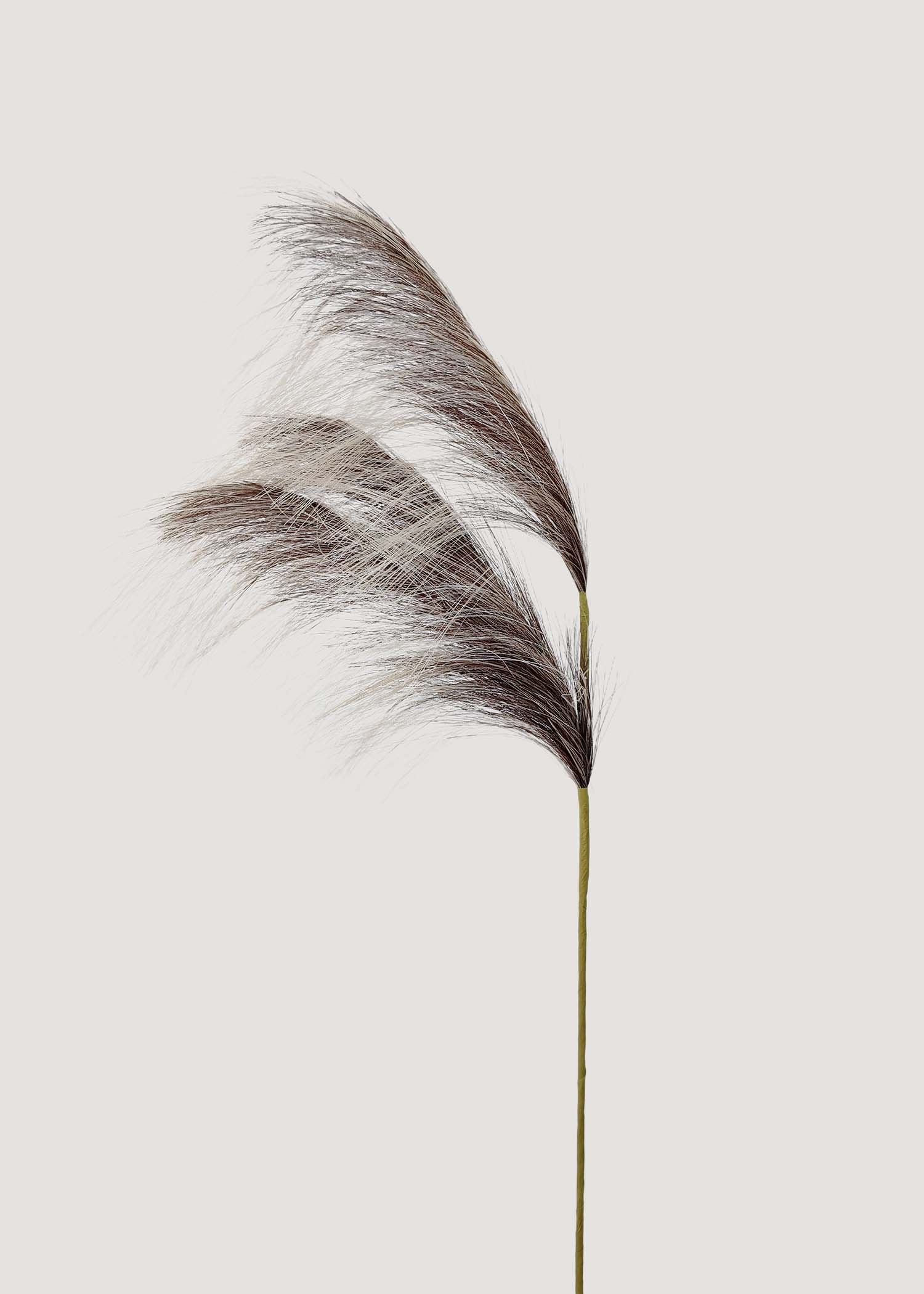 Artificial reed grass stem in natural brown with wispy plumes main image