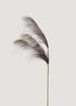 Artificial reed grass stem in natural brown with wispy plumes main image