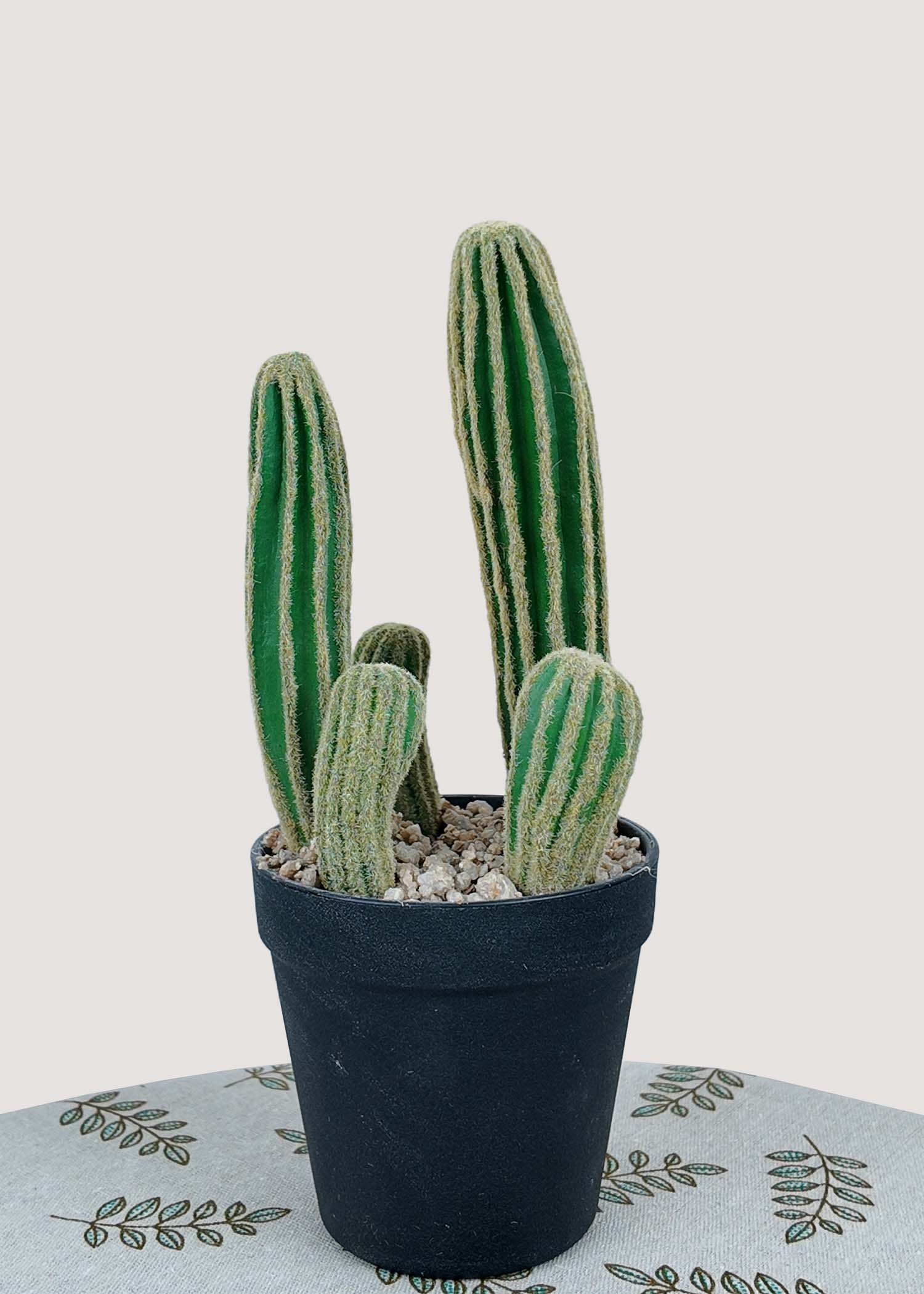 Tall artificial cactus potted plant with striped details in black pot