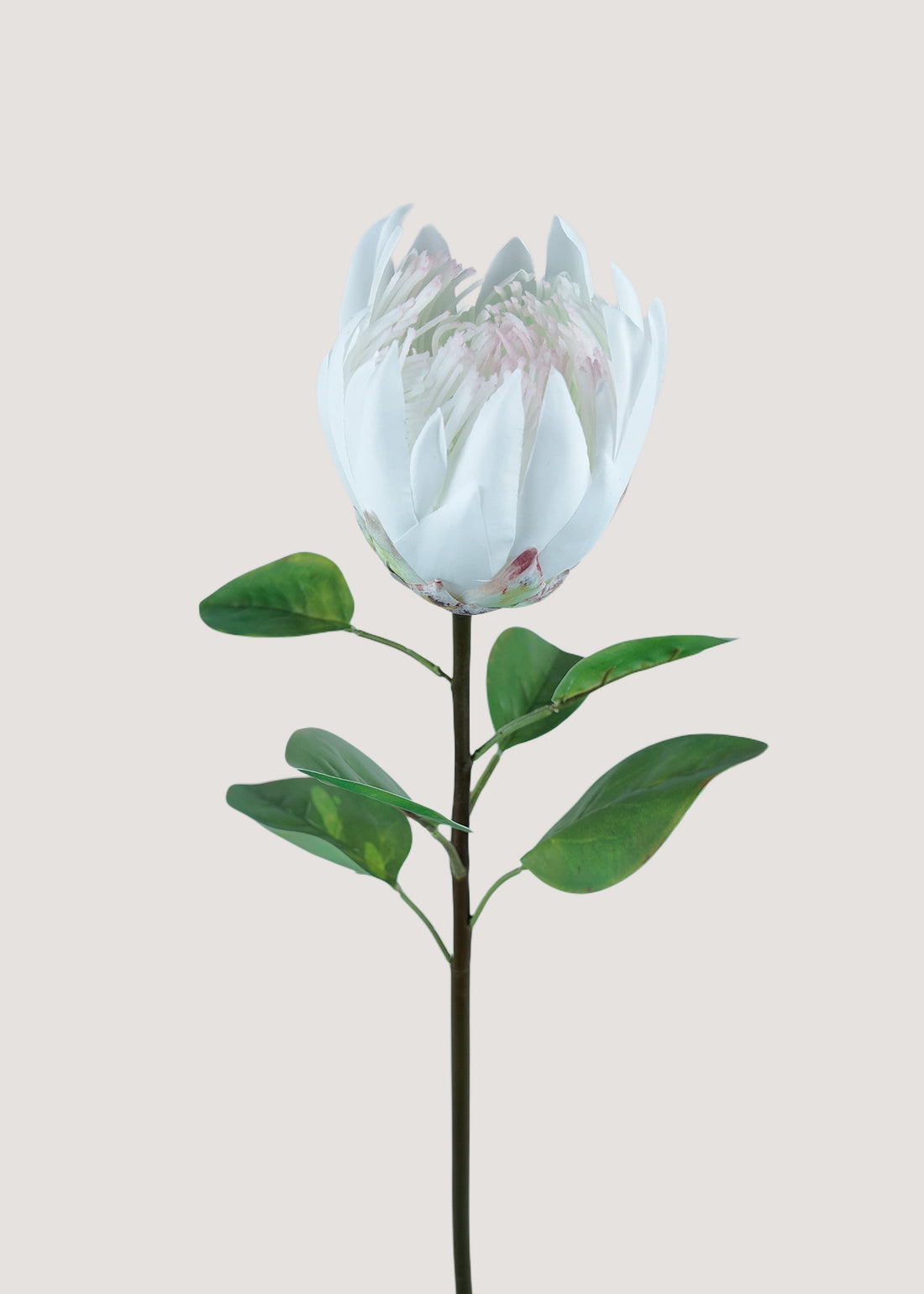 Artificial white protea king flower stem faux bloom