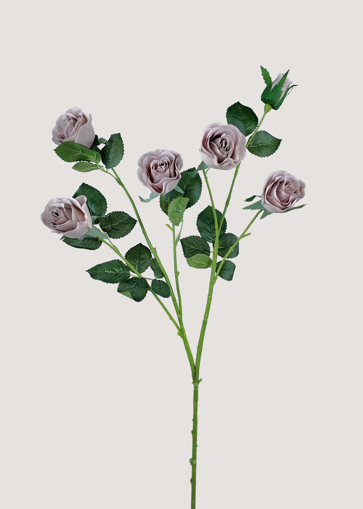 Champagne Artificial Rose Stem with 5 Blooms and 1 Bud Main Image
