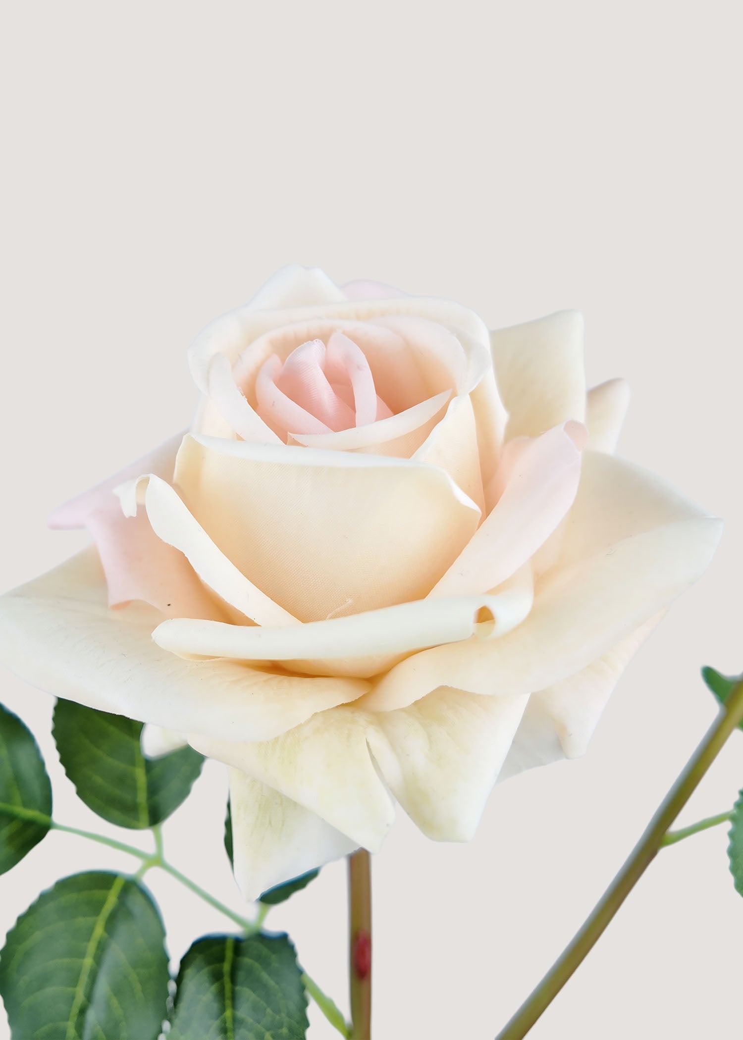Champagne cream artificial rose stem with bloom and bud by Everblooma