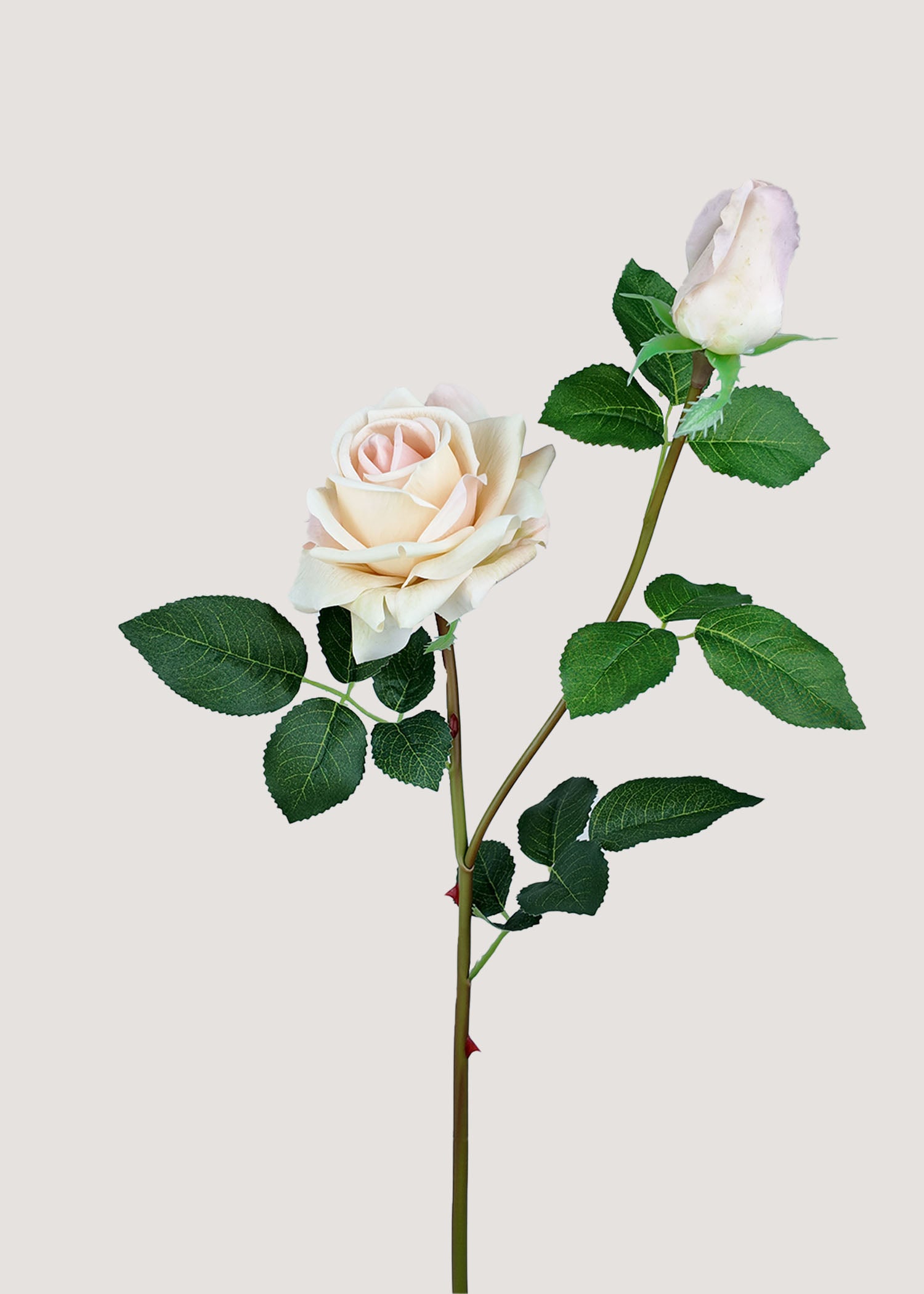Champagne cream artificial rose stem with bloom and bud by Everblooma