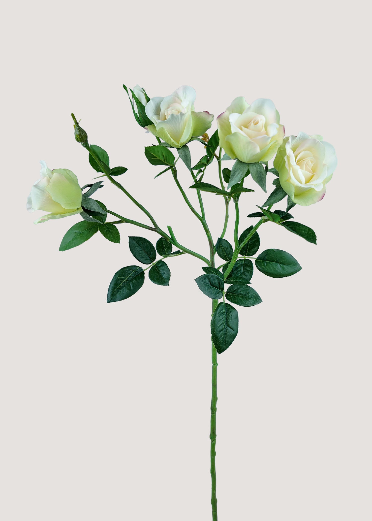 Cream White Artificial Rose Stem with Multiple Blooms – main view