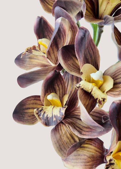 Close-up of lifelike dark purple cymbidium orchid faux petals