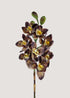 deep-purple-cymbidium-orchid-stem-main