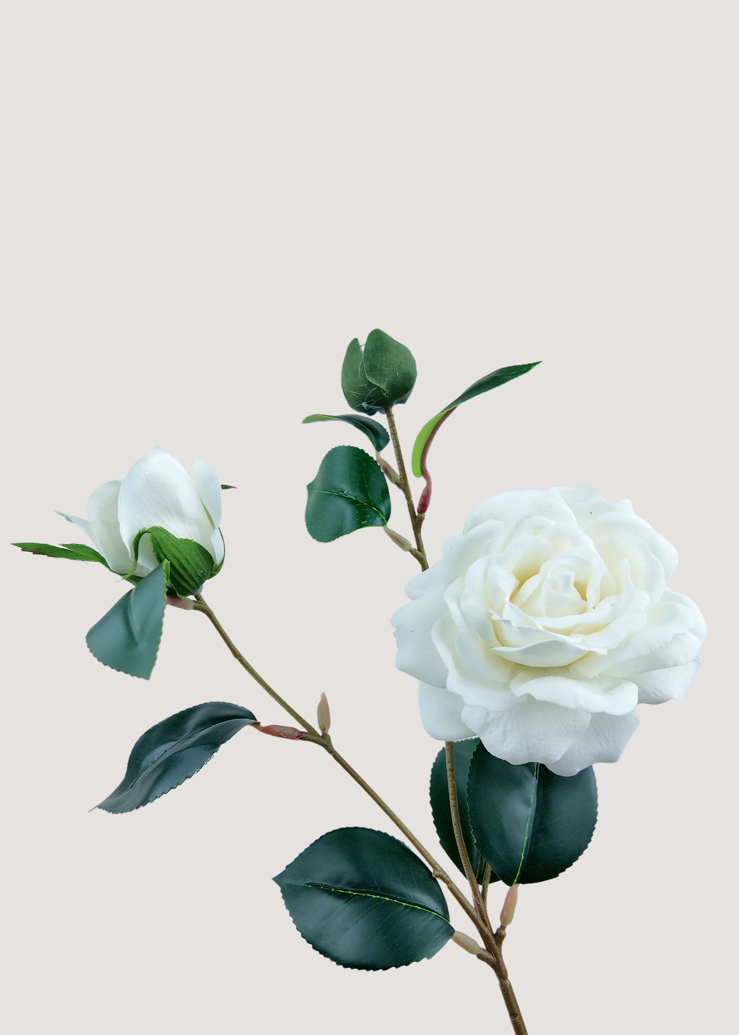 Close-up detail of silk camellia petals in white with natural texture