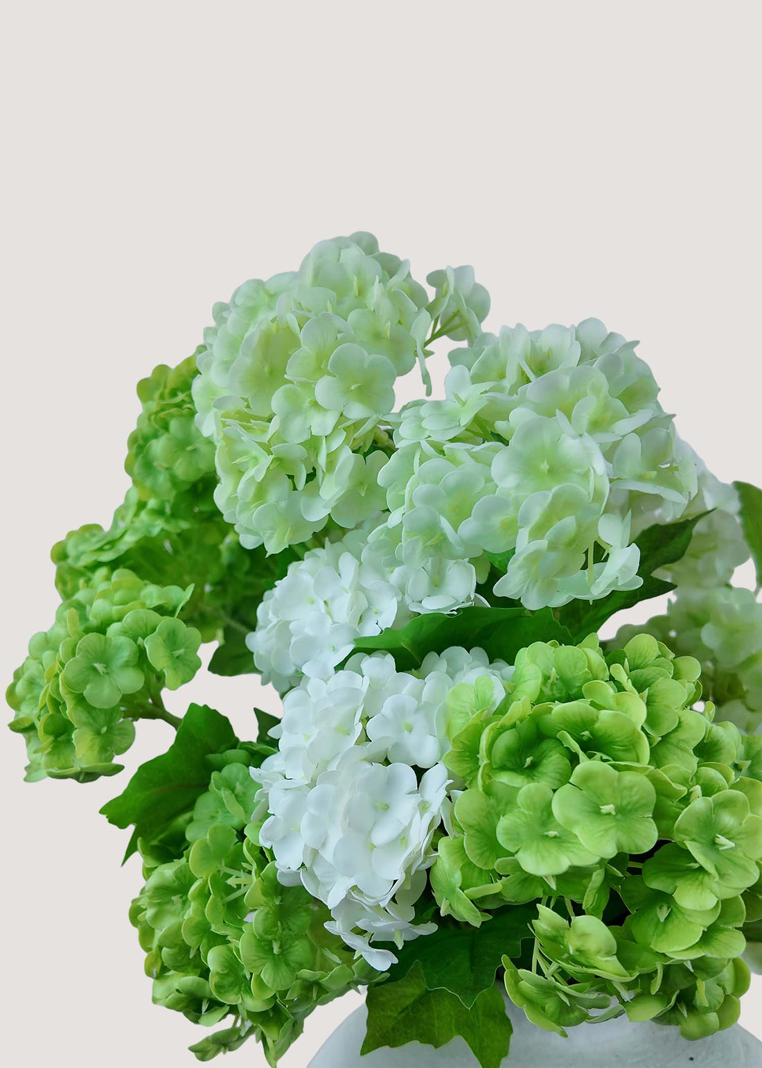 Close-up of realistic artificial hydrangea blooms in green and white