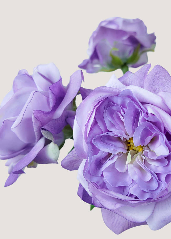 Close-up of realistic silk lavender David Austin rose petals