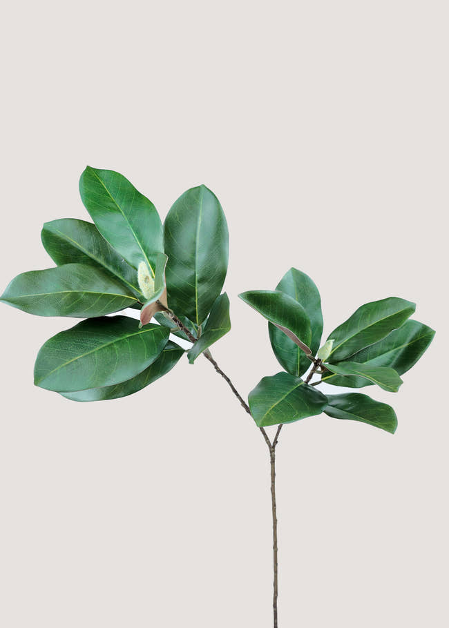 Evergreen faux magnolia leaf branch with glossy foliage main image