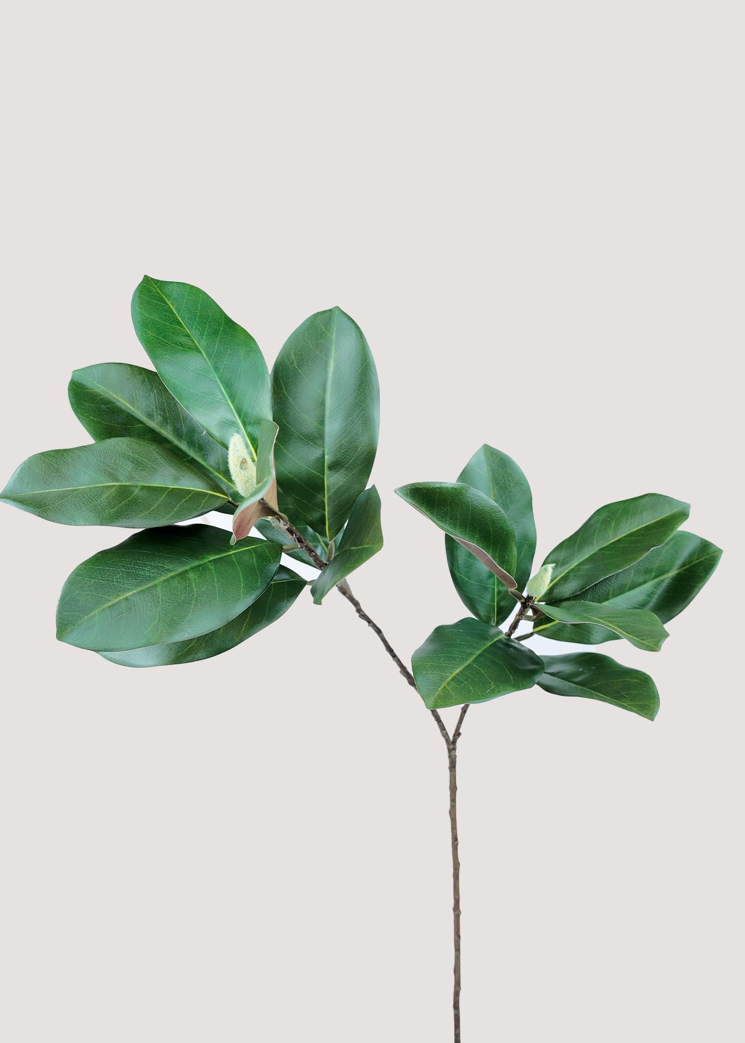 Evergreen faux magnolia leaf branch with glossy foliage main image