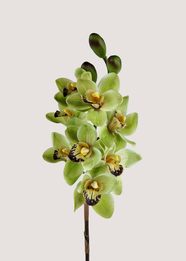Artificial green cymbidium orchid stem faux flower for vase