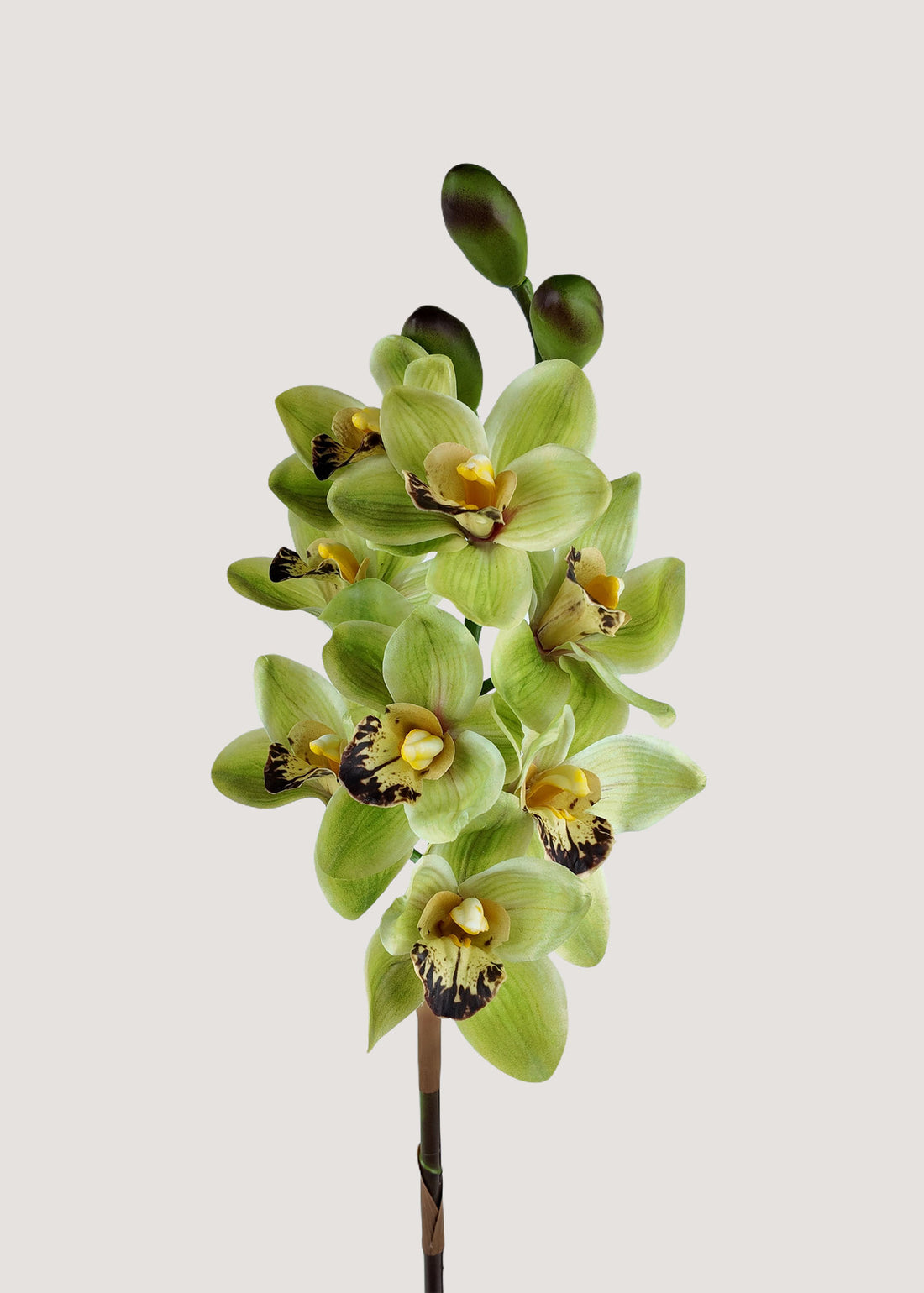 Artificial green cymbidium orchid stem faux flower for vase