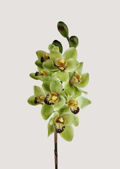 Artificial green cymbidium orchid stem faux flower for vase