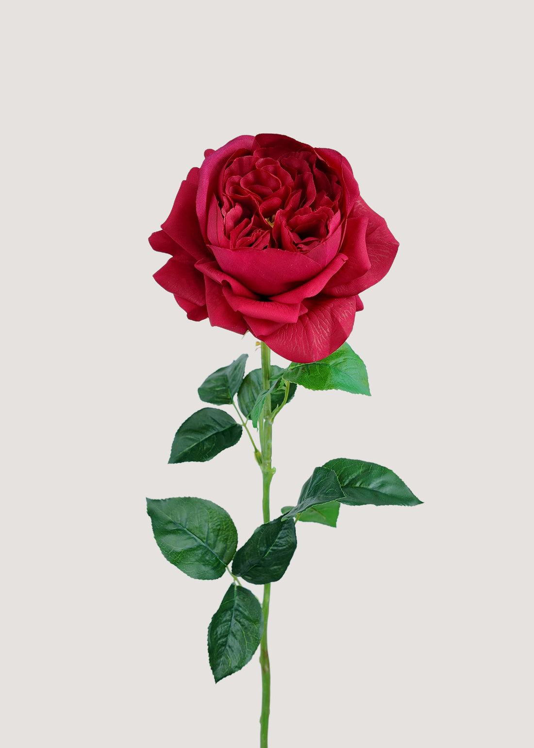 Red artificial rose stem with lush petals and green leaves